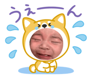832982225