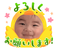 832982231