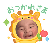 832982232