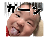 832982244