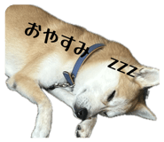 832982487