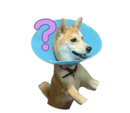 832982490