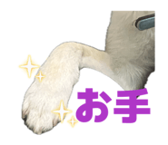 832982495