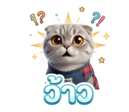 832982910