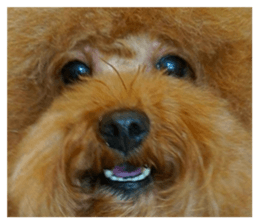 832989274