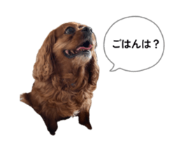 832997617