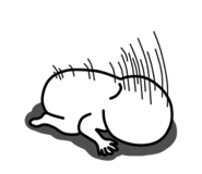 832997869