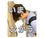 833003649