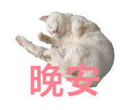 833007316
