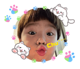 833008040