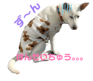 833016717