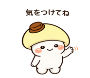 833018169