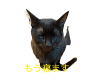 833029914