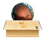 833038393