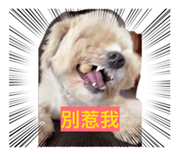833039655