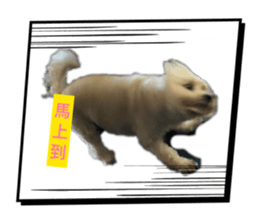 833039657
