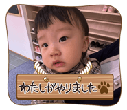 833051133