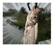 833059154