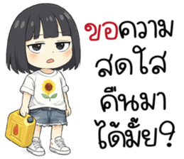 ลายที่ 13