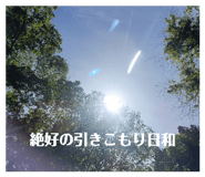 833062988