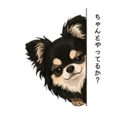 833064731