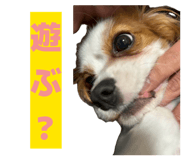 833071943