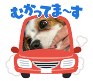 833071955