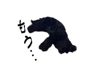 833073578