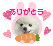 833087305