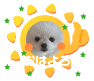 833087316