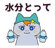 833089306