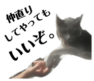 833100164