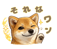 833109885