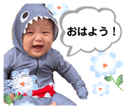 833120418