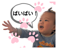 833120443