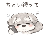 833136494