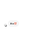 833141079