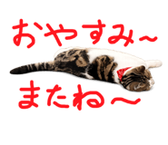 833141554