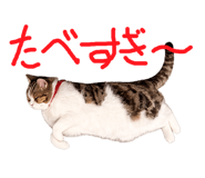 833141555