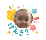 833141711