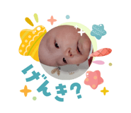 833141904
