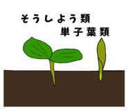 833143673