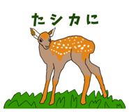 833143674