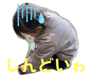 833168647