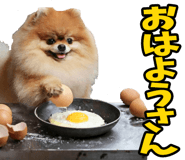 833168860