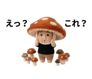 833170250