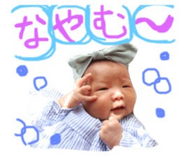 83320005