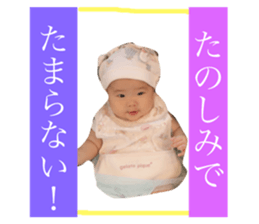 83320018