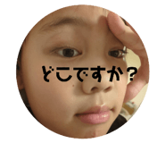 833202086