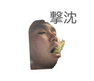 833203733